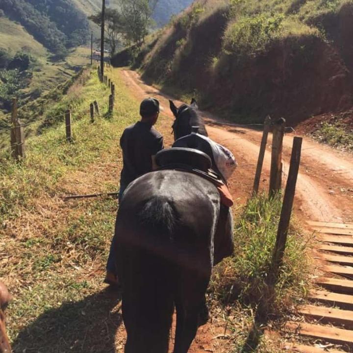 Refugio Horse Villa Santo Antônio do Pinhal Eksteriør billede